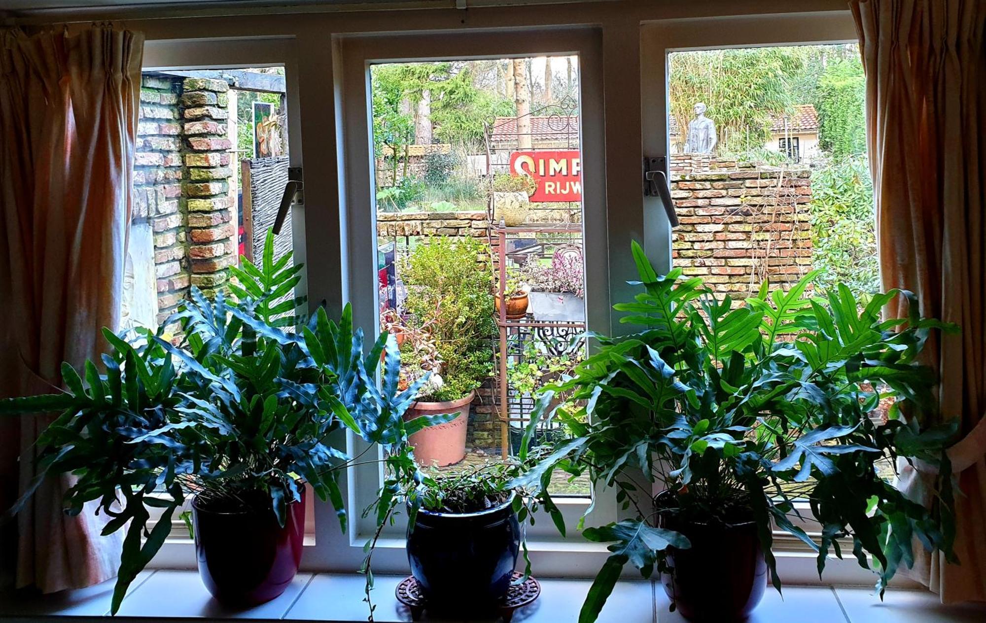 L'Amour Pur Schoorl Quarto foto